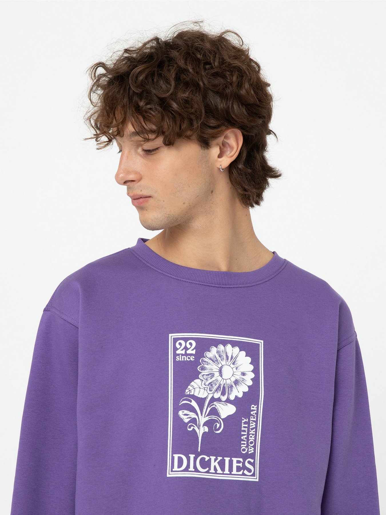 Свитшот Dickies Garden Plain модель DK0A4YELF931 Фото