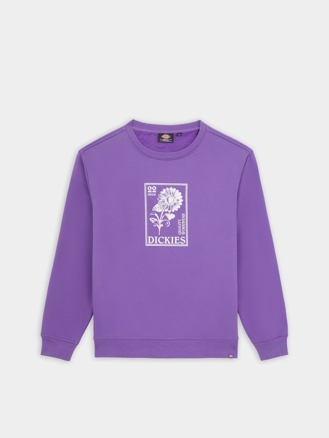 Свитшот Dickies Garden Plain модель DK0A4YELF931 Фото