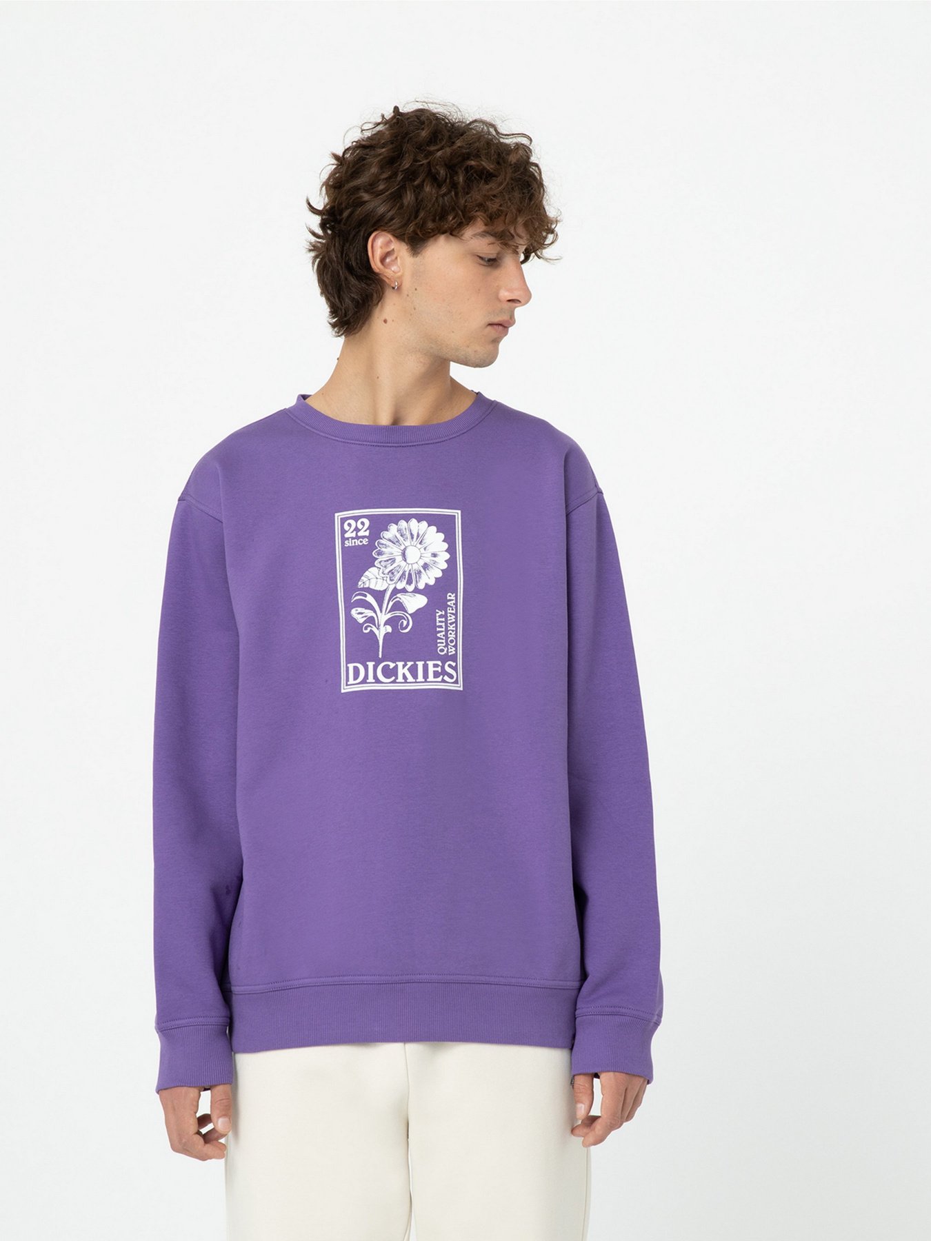 Свитшот Dickies Garden Plain модель DK0A4YELF931 Фото