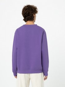 Свитшот Dickies Garden Plain модель DK0A4YELF931 Фото