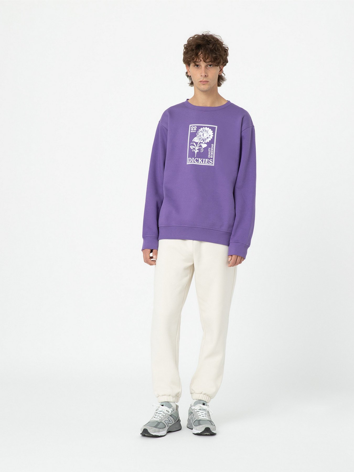 Свитшот Dickies Garden Plain модель DK0A4YELF931 Свитшот Dickies Garden Plain модель DK0A4YELF931 Фото