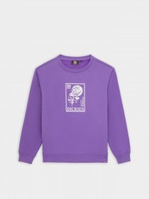 Свитшот Dickies Garden Plain модель DK0A4YELF931 Свитшот Dickies Garden Plain модель DK0A4YELF931 Фото