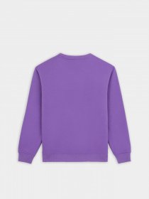 Свитшот Dickies Garden Plain модель DK0A4YELF931 Свитшот Dickies Garden Plain модель DK0A4YELF931 Фото