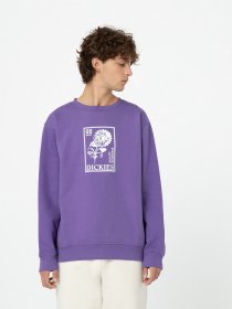 Свитшот Dickies Garden Plain модель DK0A4YELF931 Свитшот Dickies Garden Plain модель DK0A4YELF931 Фото