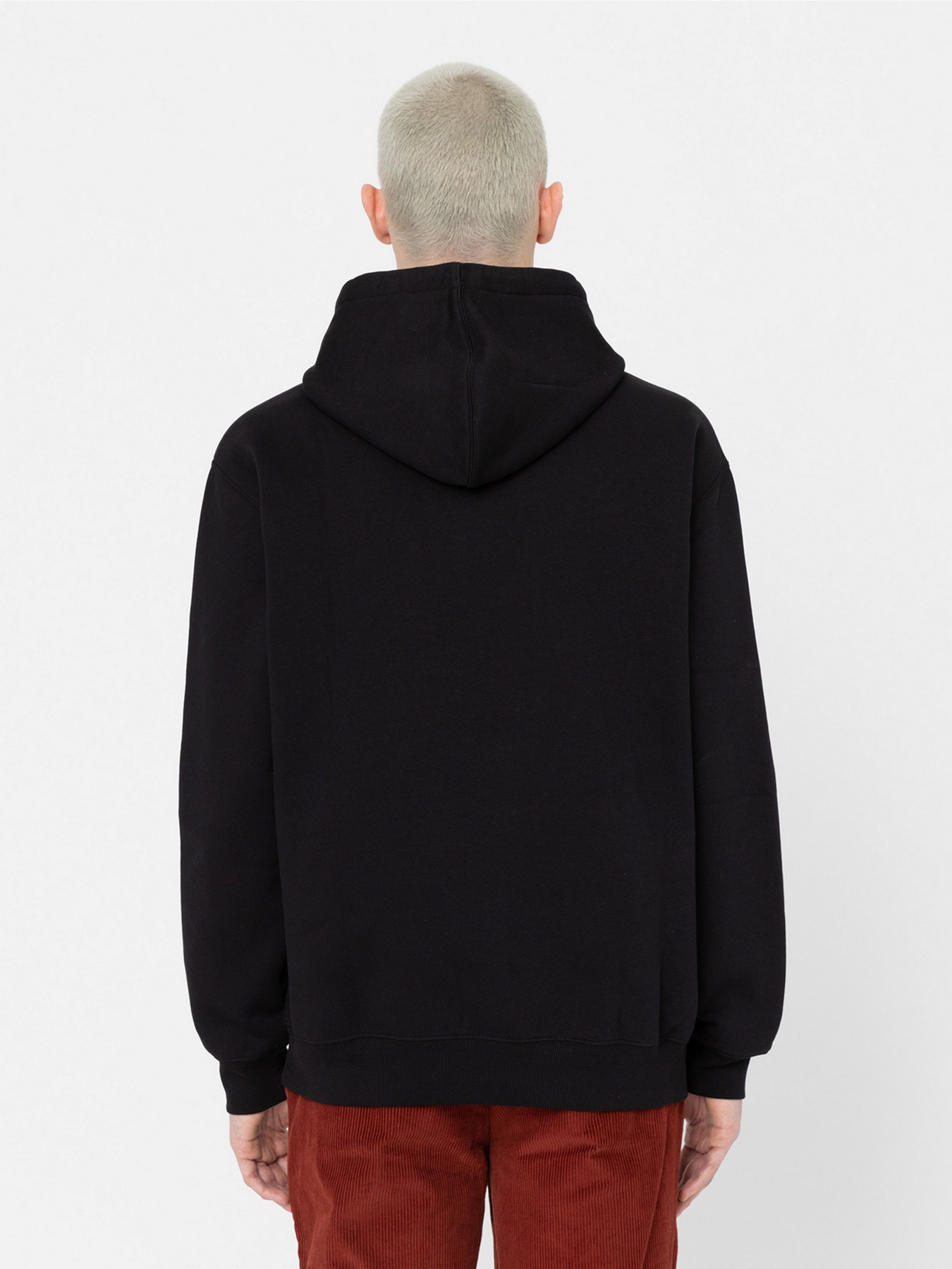 Худи Dickies Paxico модель DK0A4YEMBLK1 Фото