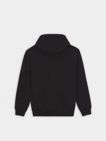 Худи Dickies Paxico модель DK0A4YEMBLK1 Фото