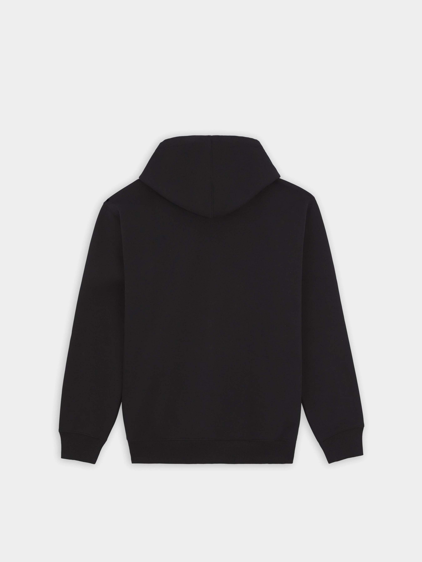 Худі Dickies Paxico модель DK0A4YEMBLK1 Фото