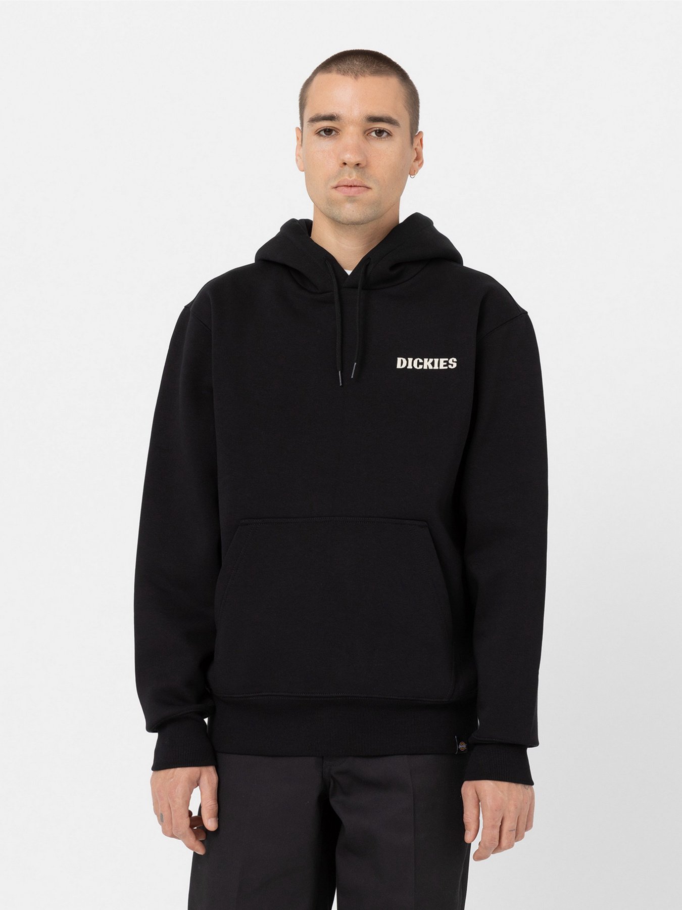 Худи Dickies Hays Cotton модель DK0A4YEOBLK1 Фото