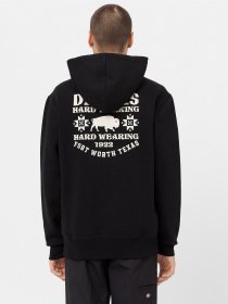 Худи Dickies Hays Cotton модель DK0A4YEOBLK1 Фото