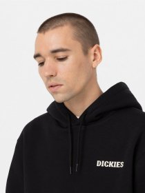 Худи Dickies Hays Cotton модель DK0A4YEOBLK1 Фото