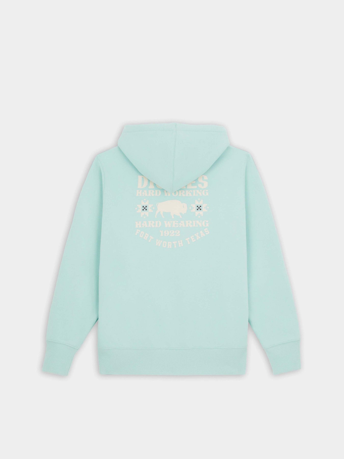 Худі Dickies Hays модель DK0A4YEOG031 Фото