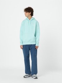 Худі Dickies Hays модель DK0A4YEOG031 Фото