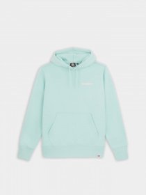 Худі Dickies Hays модель DK0A4YEOG031 Фото