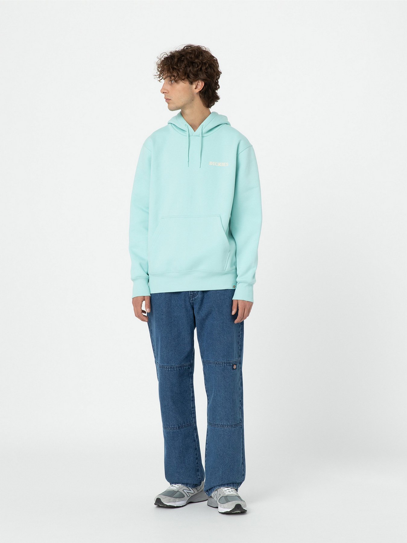 Худі Dickies Hays модель DK0A4YEOG031 Фото