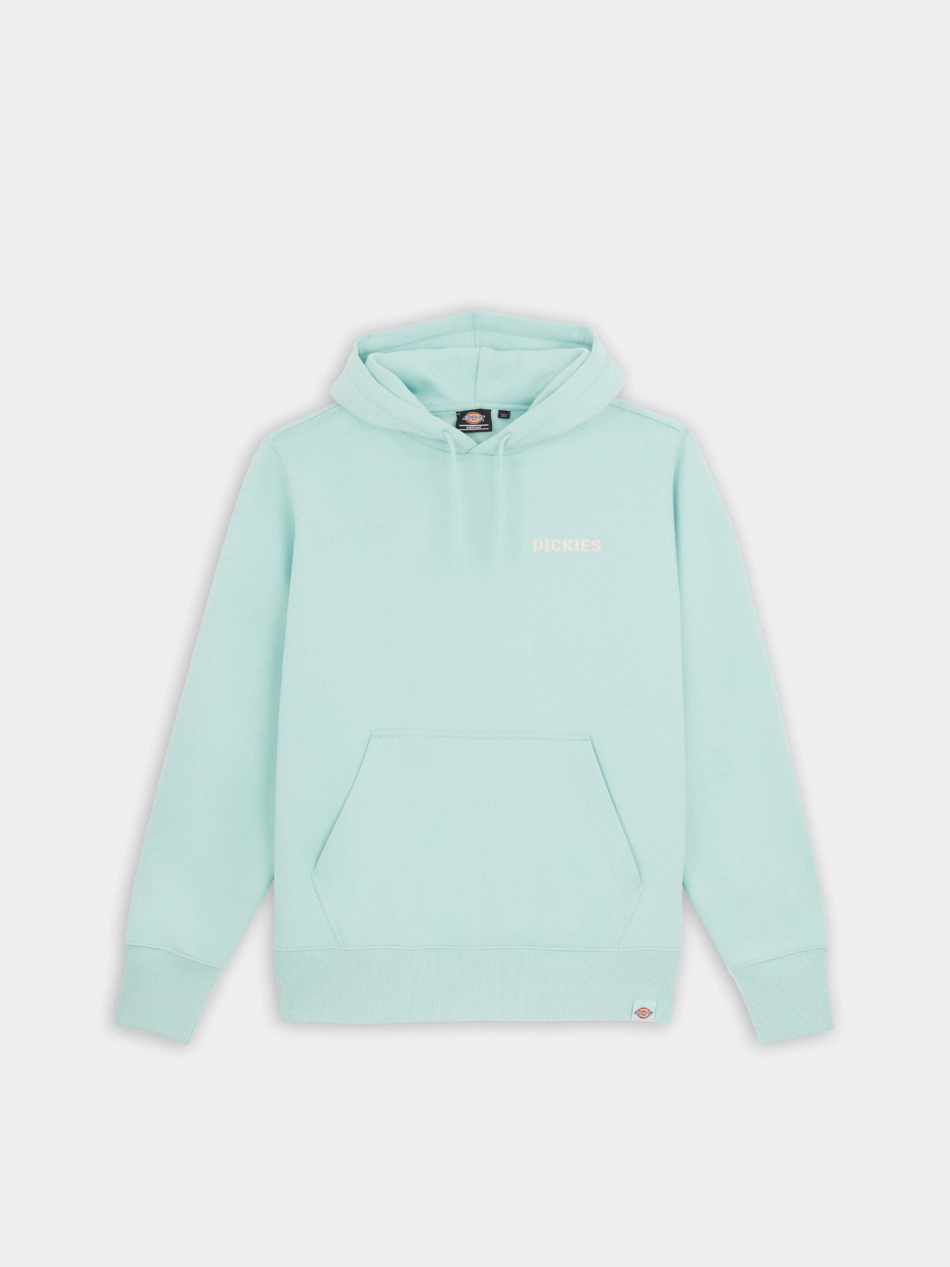 Худі Dickies Hays модель DK0A4YEOG031 Фото