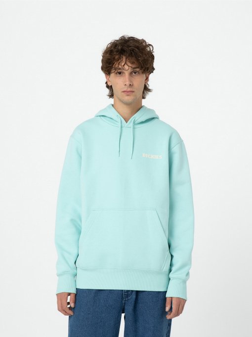 Худі Dickies Hays модель DK0A4YEOG031 Фото