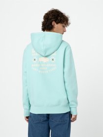 Худі Dickies Hays модель DK0A4YEOG031 Фото