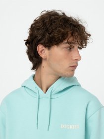 Худі Dickies Hays модель DK0A4YEOG031 Фото