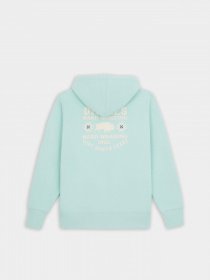 Худі Dickies Hays модель DK0A4YEOG031 Фото