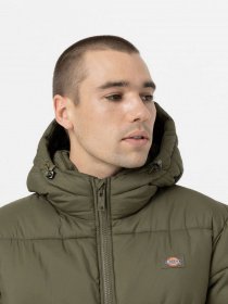 Зимняя куртка Dickies Glacier модель DK0A4YEYMGR1 Фото