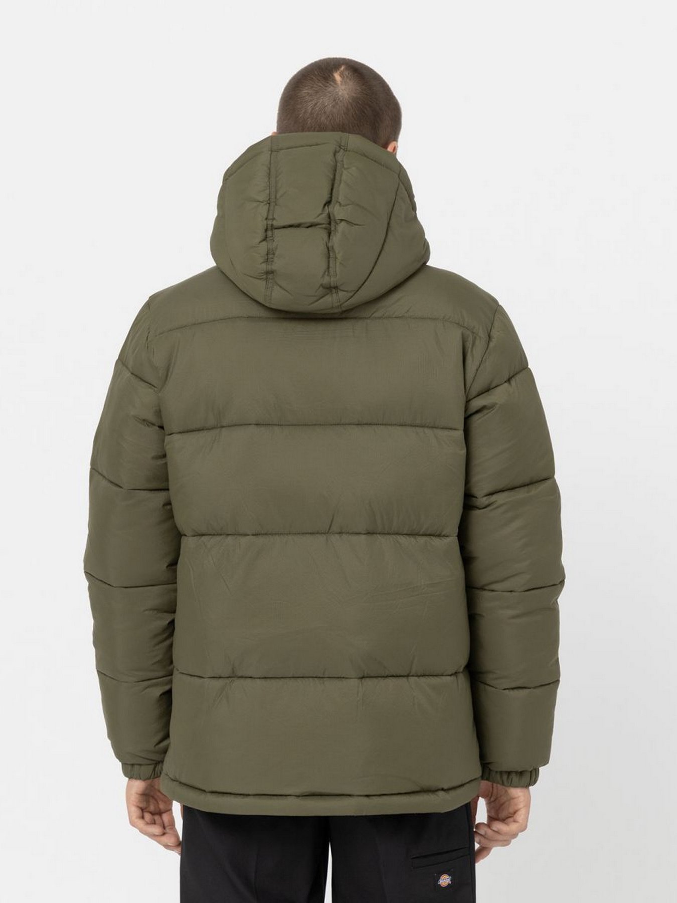 Зимова куртка Dickies Glacier модель DK0A4YEYMGR1 Фото