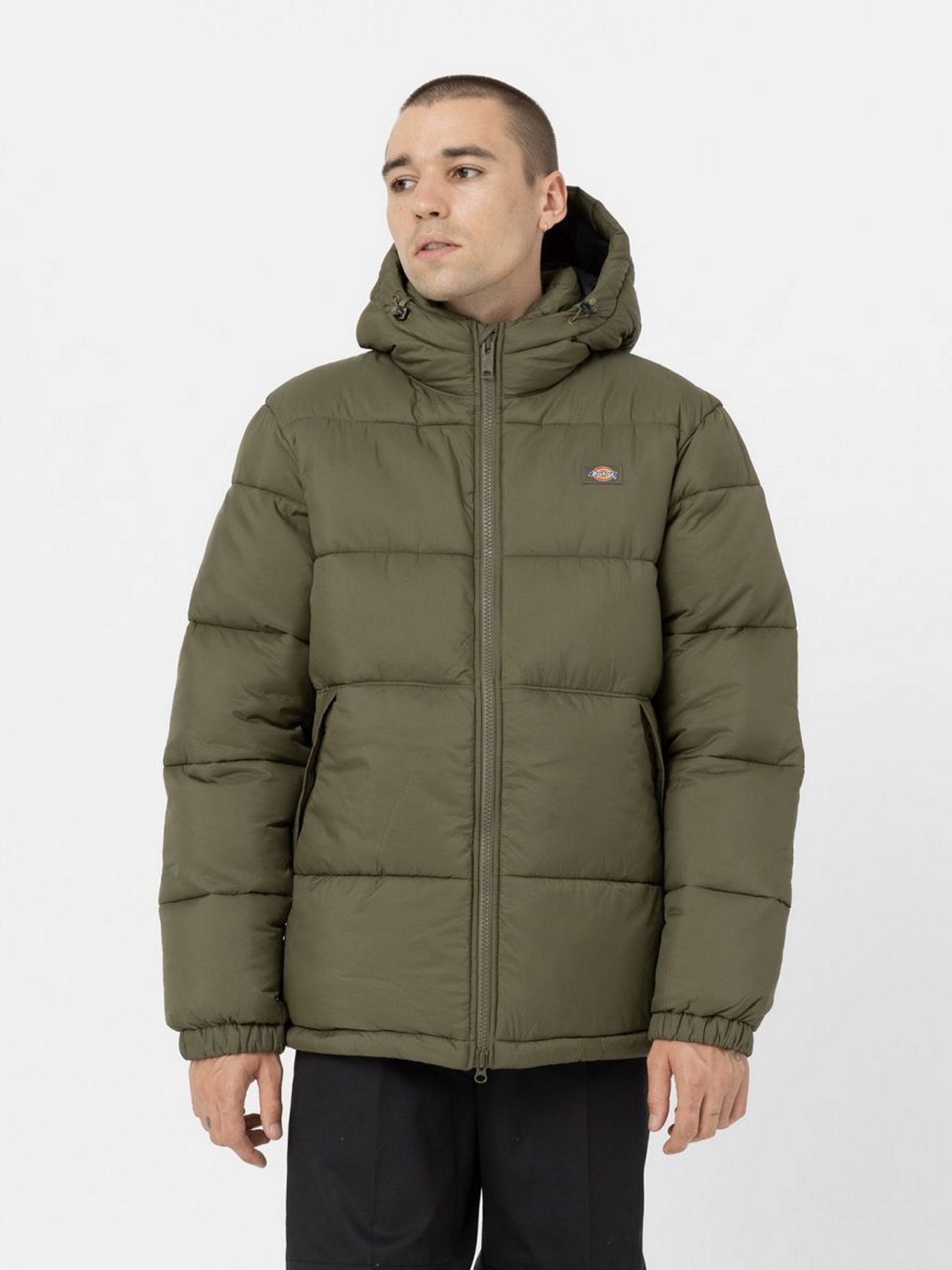 Зимова куртка Dickies Glacier модель DK0A4YEYMGR1 Фото