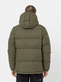 Зимова куртка Dickies Glacier модель DK0A4YEYMGR1 Фото