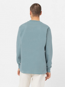 Лонгслив Dickies TROOPER модель DK0A4YGHG071 Фото