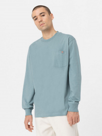 Лонгслив Dickies TROOPER модель DK0A4YGHG071 Фото