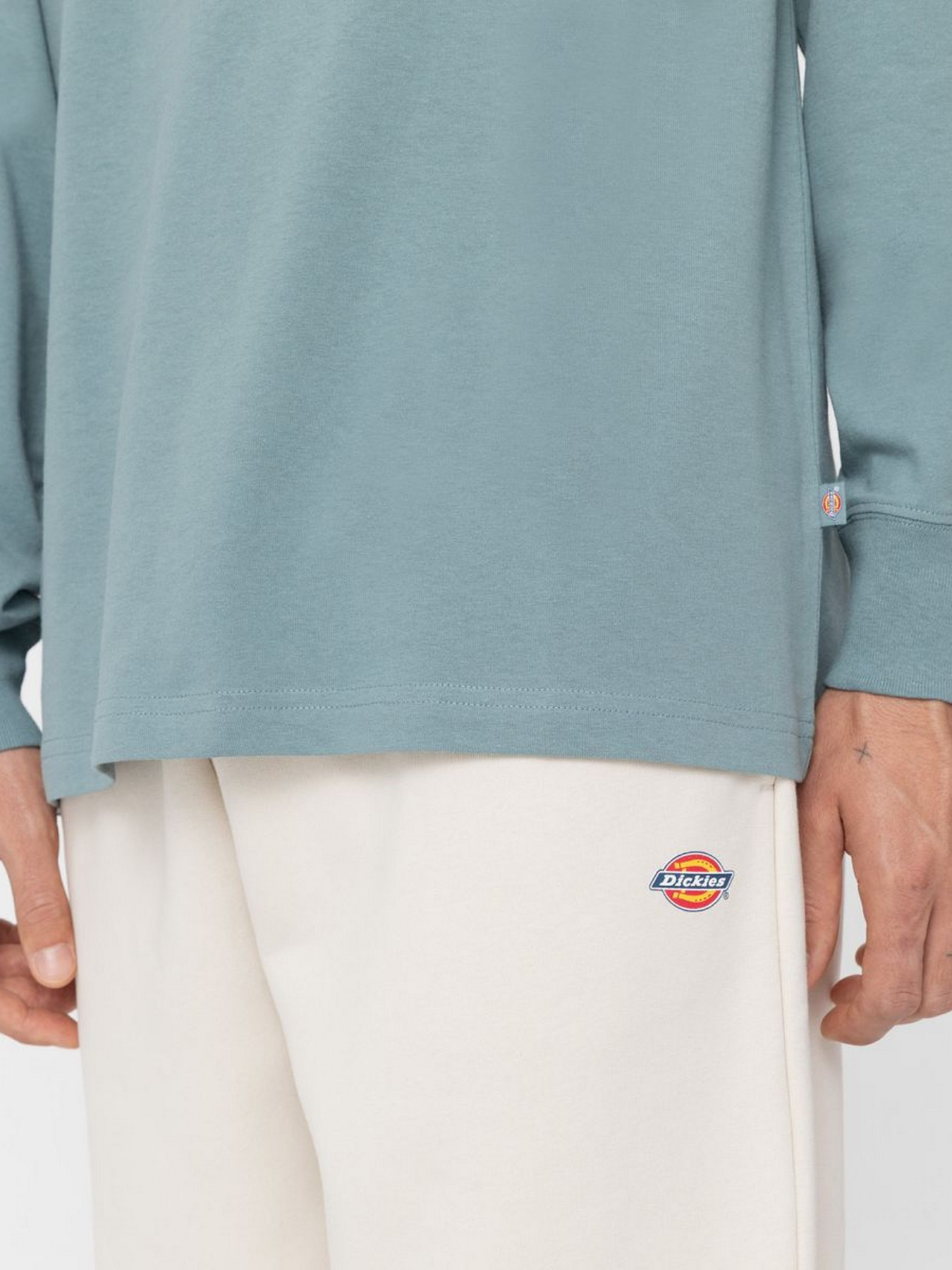 Лонгслів Dickies TROOPER модель DK0A4YGHG071 Фото