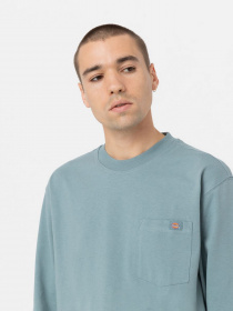 Лонгслів Dickies TROOPER модель DK0A4YGHG071 Фото