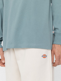 Лонгслів Dickies TROOPER модель DK0A4YGHG071 Фото