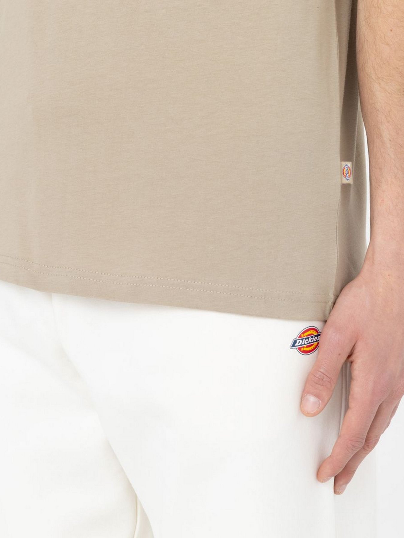 Футболка Dickies SS Mapleton модель DK0A4XDBDS01 Фото