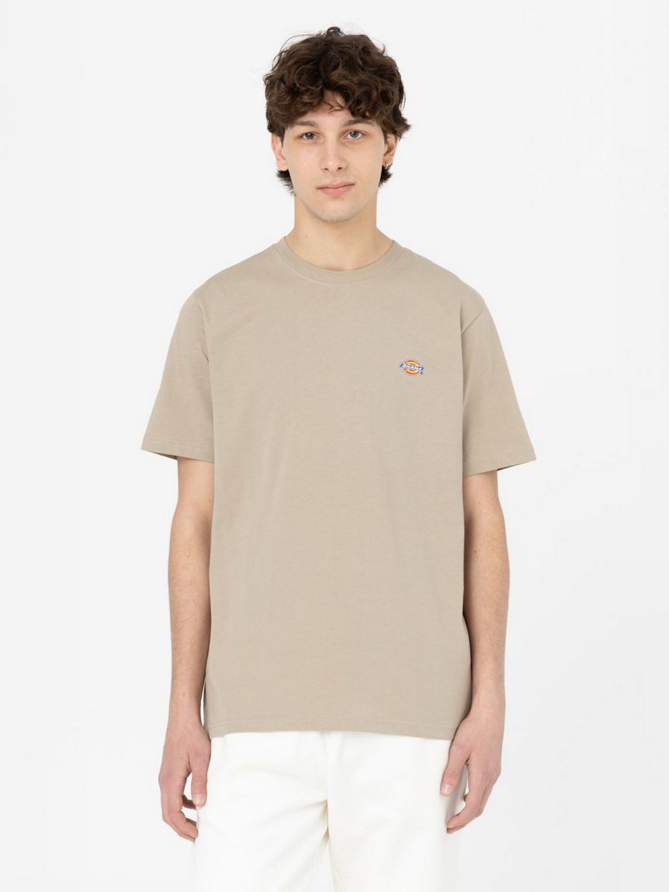 Футболка Dickies SS Mapleton модель DK0A4XDBDS01 Фото