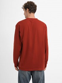 Лонгслів Dickies Scott City модель DK0A4YIXG041 Фото