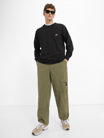 Лонгслів Dickies Mount Vista Pocket модель DK0A4YJQBLK1 Фото