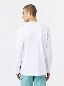 Лонгслив Dickies Mount Vista Pocket модель DK0A4YJQWHX1 Фото