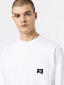 Лонгслив Dickies Mount Vista Pocket модель DK0A4YJQWHX1 Фото
