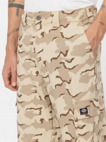 Карго Dickies Moundridge модель DK0A4YJTDC01 Фото