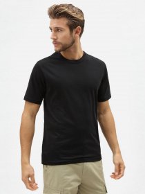 Набор футболок Dickies Tsht Pk модель DK621091BLK1 Фото