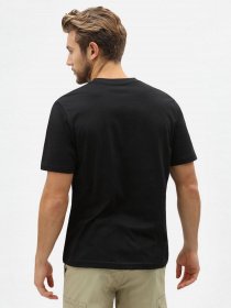 Набор футболок Dickies Tsht Pk модель DK621091BLK1 Фото