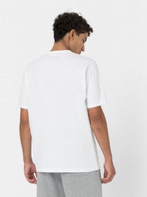 Футболки і поло Dickies Tsht Pk модель DK621091WHX1 Фото
