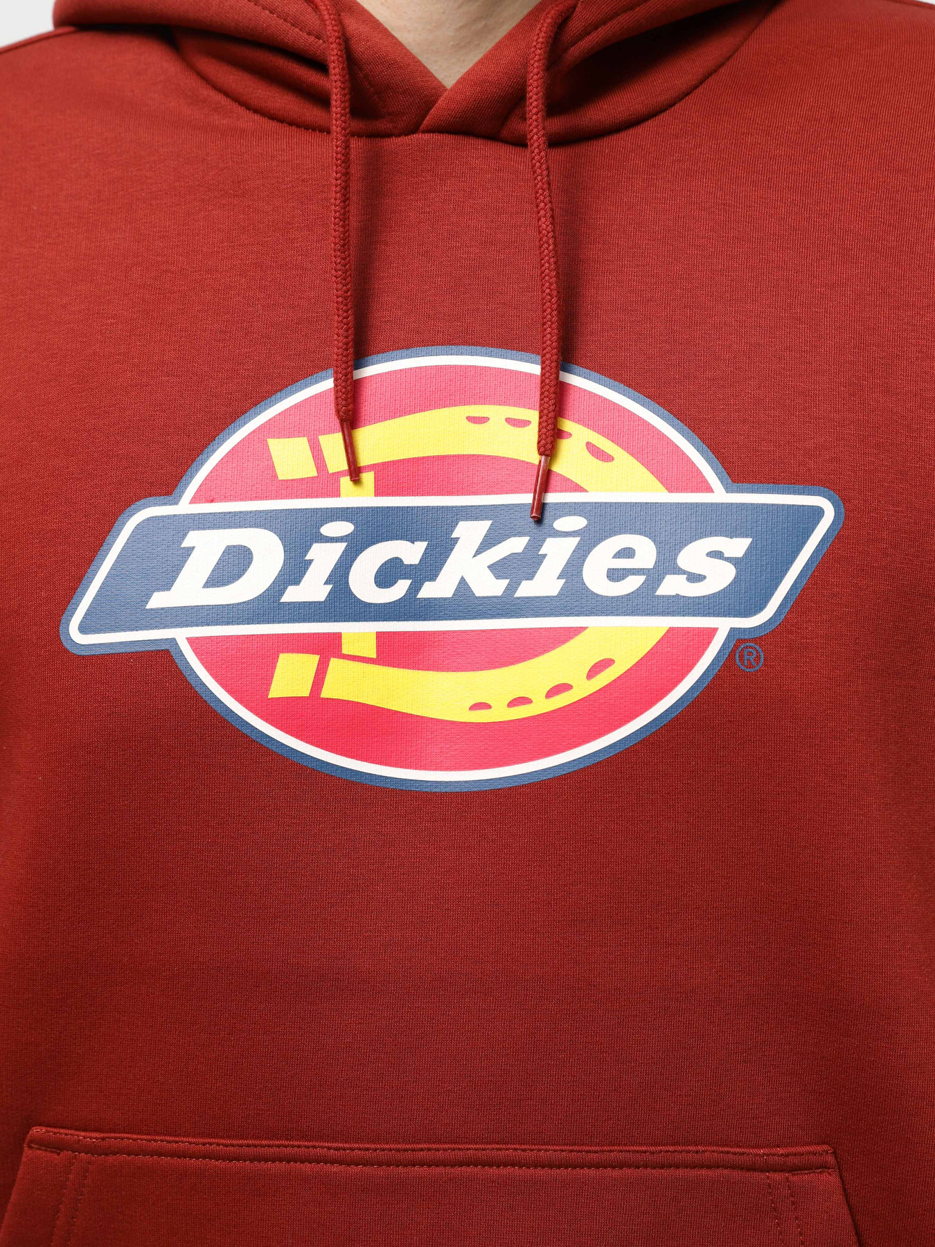 Худи Dickies Icon Logo модель DK0A4XCBG041 Фото
