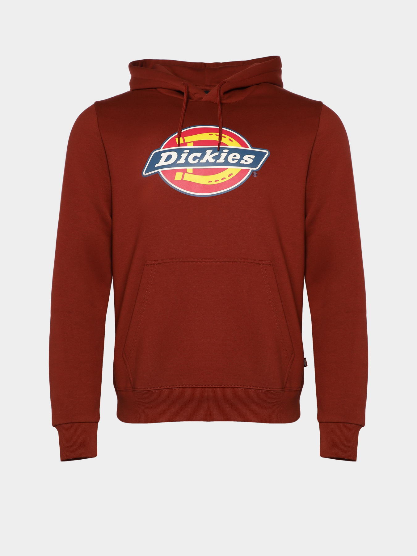 Худи Dickies Icon Logo модель DK0A4XCBG041 Фото