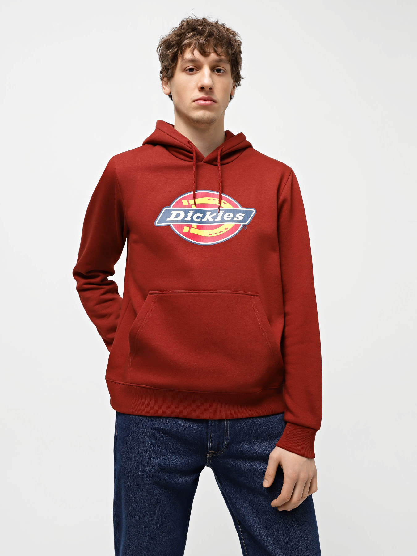 Худи Dickies Icon Logo модель DK0A4XCBG041 Фото