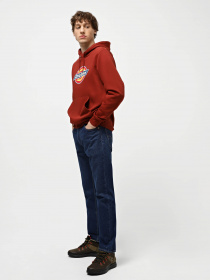 Худи Dickies Icon Logo модель DK0A4XCBG041 Фото
