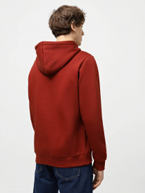 Худи Dickies Icon Logo модель DK0A4XCBG041 Фото