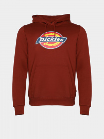 Худи Dickies Icon Logo модель DK0A4XCBG041 Фото
