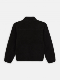 Кофта Dickies Mount Hope Quarter Zip модель DK0A4YEFBLK1 Фото