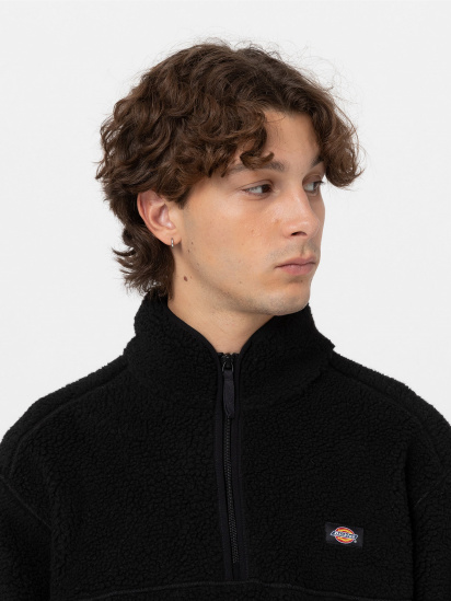 Кофта Dickies Mount Hope Quarter Zip модель DK0A4YEFBLK1 — фото 3 - INTERTOP